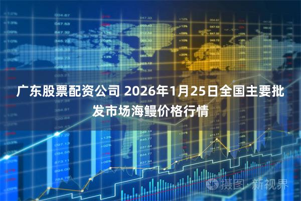广东股票配资公司 2026年1月25日全国主要批发市场海鳗价格行情
